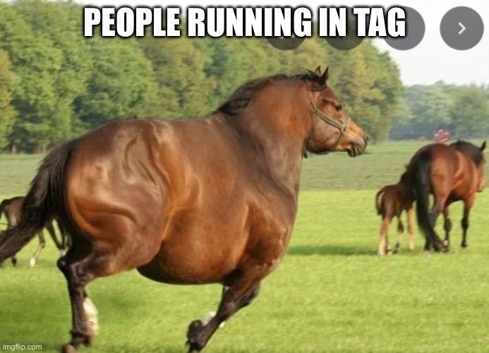 Fat Horse | PEOPLE RUNNING IN TAG | image tagged in fat horse | made w/ Imgflip meme maker