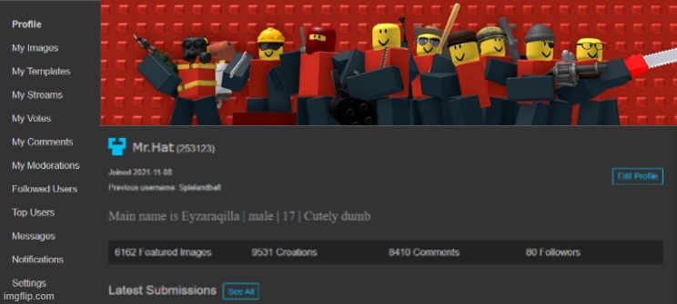 bruh what if banners was added to imgflip. this is what it would look like (i will post this on the imgflip stream) | made w/ Imgflip meme maker