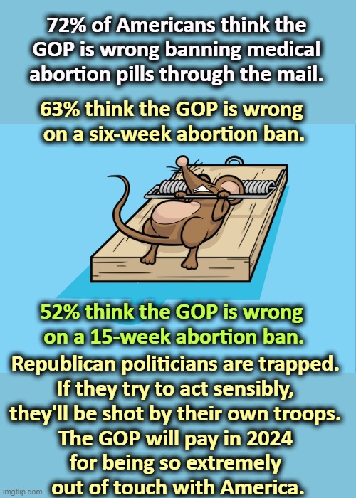 The GOP is in a bubble and doesn't know it. | 72% of Americans think the GOP is wrong banning medical abortion pills through the mail. 63% think the GOP is wrong 
on a six-week abortion ban. 52% think the GOP is wrong 
on a 15-week abortion ban. Republican politicians are trapped. 
If they try to act sensibly, 
they'll be shot by their own troops. 
The GOP will pay in 2024 
for being so extremely 
out of touch with America. | image tagged in republicans,wrong,abortion,america,no | made w/ Imgflip meme maker