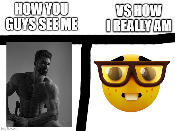 VS HOW I REALLY AM; HOW YOU GUYS SEE ME | made w/ Imgflip meme maker