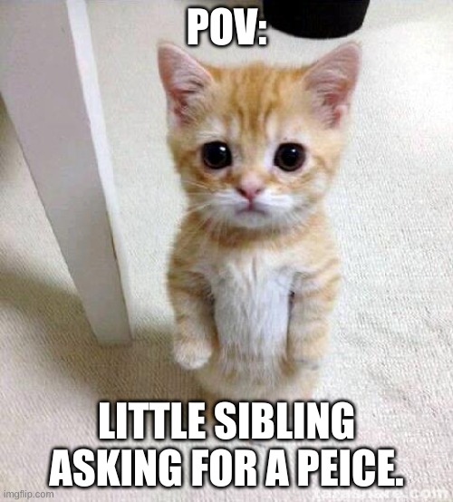 Being the older sibling in a nutshell | POV:; LITTLE SIBLING ASKING FOR A PEICE. | image tagged in memes,cute cat,funny,funny memes,siblings,older | made w/ Imgflip meme maker