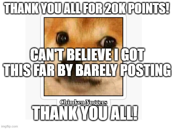 Thank you all for 20k points! | THANK YOU ALL FOR 20K POINTS! CAN'T BELIEVE I GOT THIS FAR BY BARELY POSTING; THANK YOU ALL! | image tagged in 20k,thank you,doggo,chicken nuggets,funny,memes | made w/ Imgflip meme maker