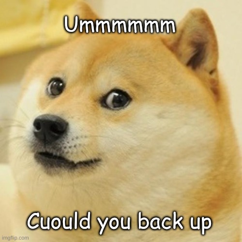 Doge | Ummmmmm; Cuould you back up | image tagged in memes,doge | made w/ Imgflip meme maker