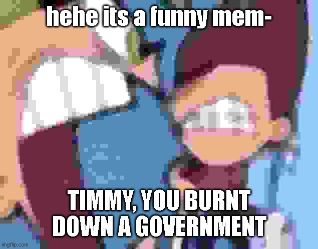 TIMMY WHAT DID YOU DO | hehe its a funny mem-; TIMMY, YOU BURNT DOWN A GOVERNMENT | image tagged in cosmo yelling at timmy | made w/ Imgflip meme maker