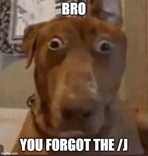 Surprised Dog | BRO YOU FORGOT THE /J | image tagged in surprised dog | made w/ Imgflip meme maker