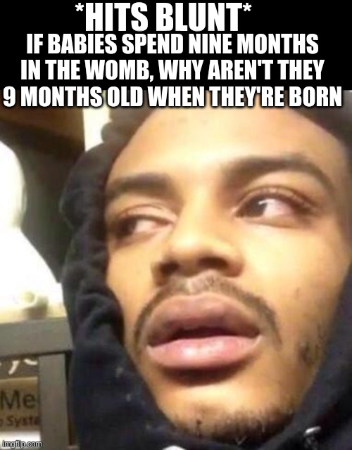 ??? | *HITS BLUNT*; IF BABIES SPEND NINE MONTHS IN THE WOMB, WHY AREN'T THEY 9 MONTHS OLD WHEN THEY'RE BORN | image tagged in hits blunt | made w/ Imgflip meme maker