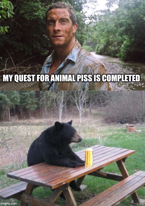 MY QUEST FOR ANIMAL PISS IS COMPLETED | image tagged in bear grylls,memes,bad luck bear | made w/ Imgflip meme maker