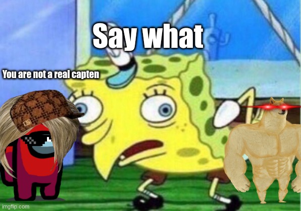 Emo and dog vs spungebob | Say what; You are not a real capten | image tagged in memes,mocking spongebob | made w/ Imgflip meme maker