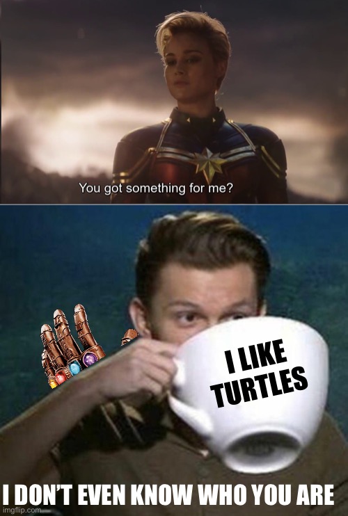 I DON’T EVEN KNOW WHO YOU ARE I LIKE TURTLES | image tagged in captain marvel got something for me,tom holland big teacup | made w/ Imgflip meme maker