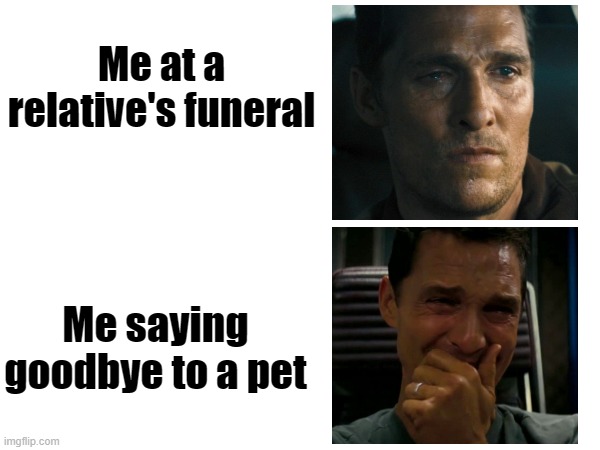 People versus Pets | Me at a relative's funeral; Me saying goodbye to a pet | image tagged in pets,sad,crying | made w/ Imgflip meme maker
