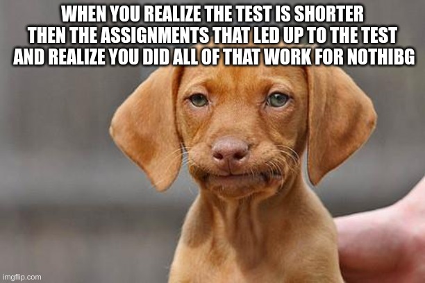 Dissapointed puppy | WHEN YOU REALIZE THE TEST IS SHORTER THEN THE ASSIGNMENTS THAT LED UP TO THE TEST  AND REALIZE YOU DID ALL OF THAT WORK FOR NOTHIBG | image tagged in dissapointed puppy | made w/ Imgflip meme maker