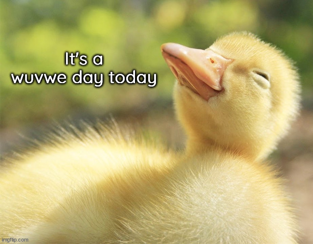 good vwibes ownwe | It's a wuvwe day today | image tagged in happy duckling,wuvwe day,good vibes | made w/ Imgflip meme maker