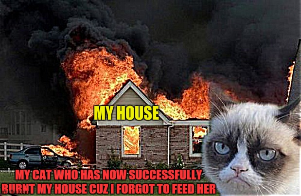 Burn Cat | MY HOUSE; MY CAT WHO HAS NOW SUCCESSFULLY BURNT MY HOUSE CUZ I FORGOT TO FEED HER | image tagged in memes,burn kitty,grumpy cat | made w/ Imgflip meme maker