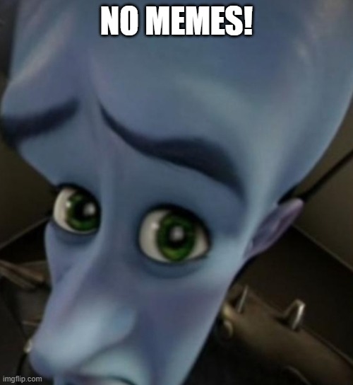 Megamind no bitches | NO MEMES! | image tagged in megamind no bitches | made w/ Imgflip meme maker
