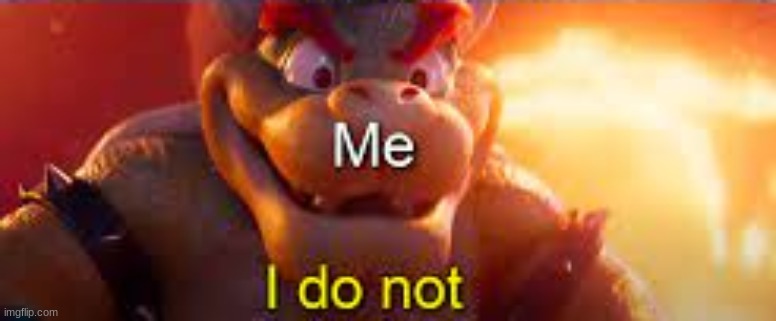 I do not Bowser | image tagged in i do not bowser | made w/ Imgflip meme maker