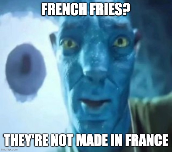 Avatar guy | FRENCH FRIES? THEY'RE NOT MADE IN FRANCE | image tagged in avatar guy | made w/ Imgflip meme maker
