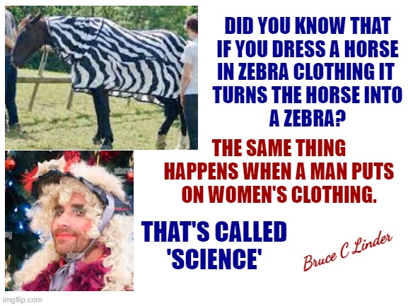 Transmogrifying in a Transmographobic World | DID YOU KNOW THAT
IF YOU DRESS A HORSE
IN ZEBRA CLOTHING IT 
TURNS THE HORSE INTO
A ZEBRA? THE SAME THING HAPPENS WHEN A MAN PUTS ON WOMEN'S CLOTHING. Bruce C Linder; THAT'S CALLED
'SCIENCE' | image tagged in science,transmogrification,yes this is sarcasm,a horse of many colors,a boy named sue,lipstick on a pig | made w/ Imgflip meme maker