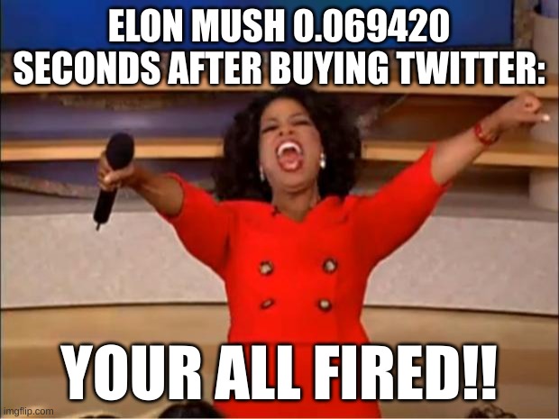 yOuR aLl fIrEd! | ELON MUSH 0.069420 SECONDS AFTER BUYING TWITTER:; YOUR ALL FIRED!! | image tagged in memes,oprah you get a,hehehe,lol so funny,lol | made w/ Imgflip meme maker