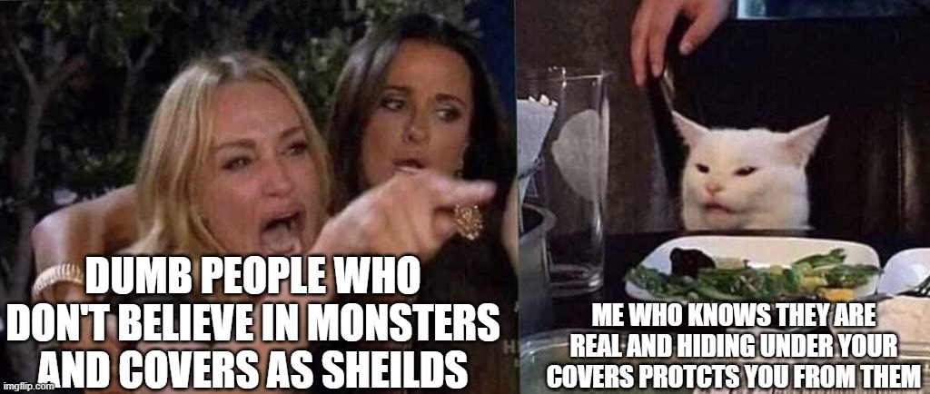 woman yelling at cat | DUMB PEOPLE WHO DON'T BELIEVE IN MONSTERS AND COVERS AS SHEILDS ME WHO KNOWS THEY ARE REAL AND HIDING UNDER YOUR COVERS PROTCTS YOU FROM THE | image tagged in woman yelling at cat | made w/ Imgflip meme maker