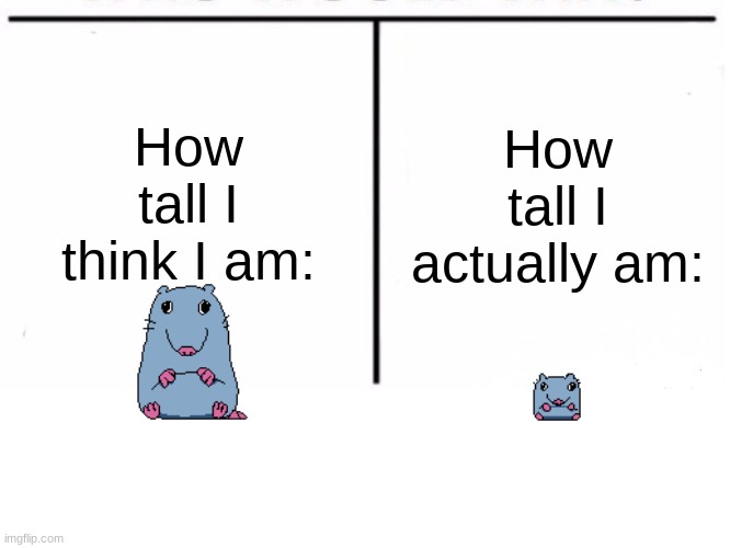 Not really | How tall I think I am:; How tall I actually am: | image tagged in comparison table,fun,pizza tower | made w/ Imgflip meme maker