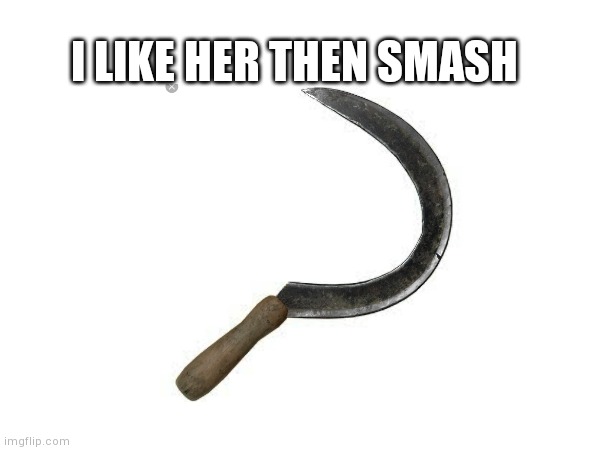 I LIKE HER THEN SMASH | made w/ Imgflip meme maker