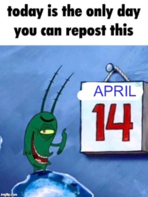 Today is the only day you can repost this | image tagged in quick,repost this,meme | made w/ Imgflip meme maker