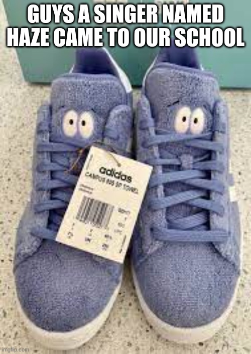 the shoes | GUYS A SINGER NAMED HAZE CAME TO OUR SCHOOL | image tagged in the shoes | made w/ Imgflip meme maker