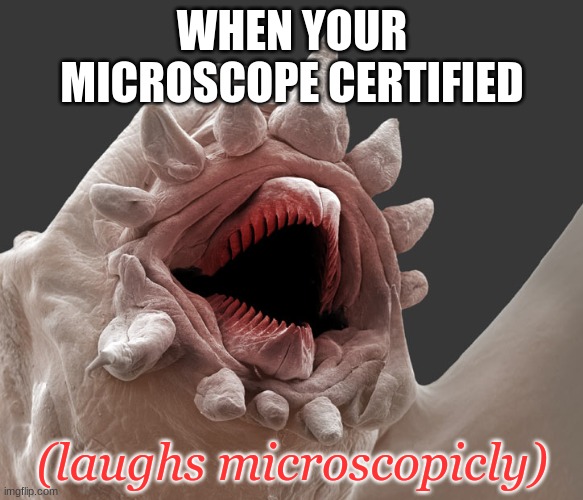 ITS TOO LATE SONIC I AM NOW MICROSCOPE CERTIFIED HAHAHAHAHA! | WHEN YOUR MICROSCOPE CERTIFIED; (laughs microscopicly) | image tagged in laughs microscopically,microscope certified | made w/ Imgflip meme maker
