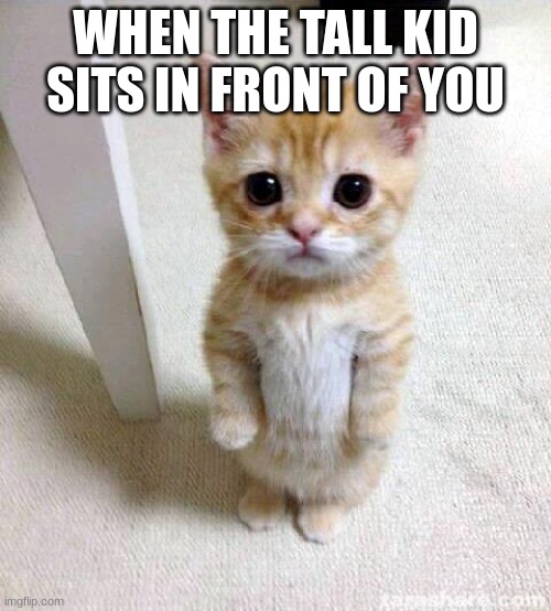 cat meme | WHEN THE TALL KID SITS IN FRONT OF YOU | image tagged in memes,cute cat | made w/ Imgflip meme maker