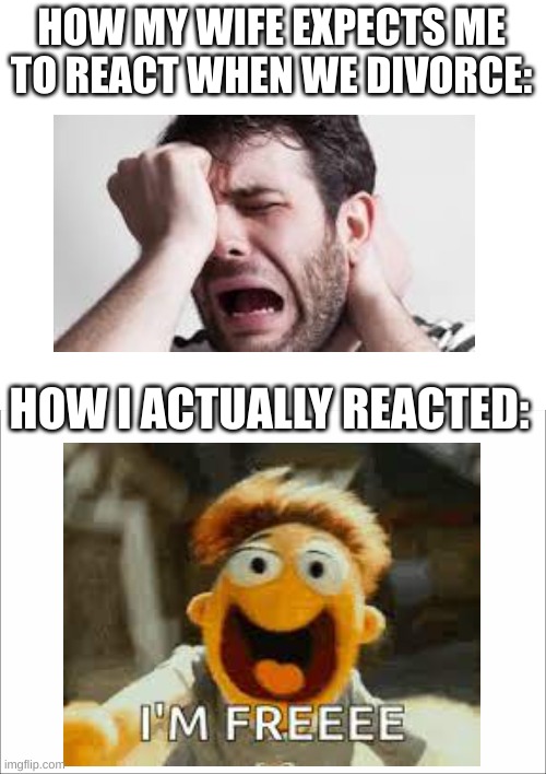 I GOT DIVORCED!! | HOW MY WIFE EXPECTS ME TO REACT WHEN WE DIVORCE:; HOW I ACTUALLY REACTED: | image tagged in divorce,haha,lol,lol so funny,muppets | made w/ Imgflip meme maker