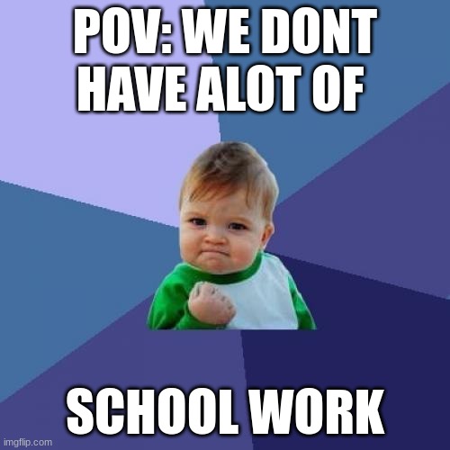 Success Kid Meme | POV: WE DONT HAVE ALOT OF; SCHOOL WORK | image tagged in memes,success kid | made w/ Imgflip meme maker