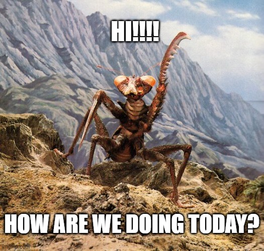 Be kind to the bug | HI!!!! HOW ARE WE DOING TODAY? | image tagged in fun | made w/ Imgflip meme maker