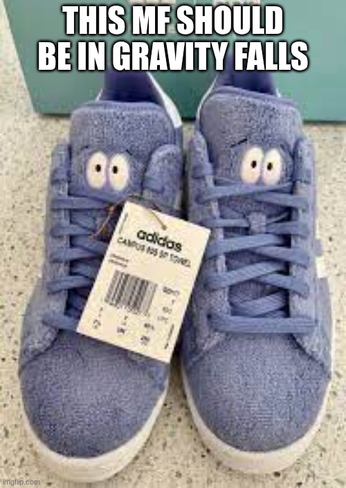 the shoes | THIS MF SHOULD BE IN GRAVITY FALLS | image tagged in the shoes | made w/ Imgflip meme maker