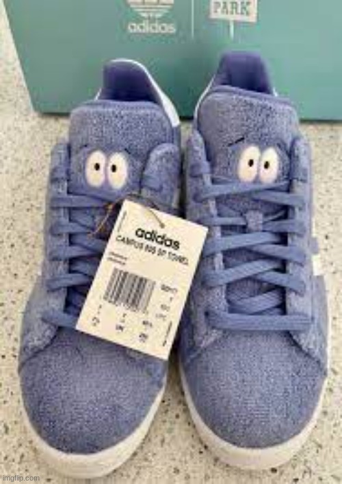 the shoes | image tagged in the shoes | made w/ Imgflip meme maker