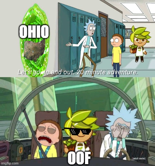 Herb Cookie Going Ohio In 20 Minutes | OHIO; OOF | image tagged in 20 minute adventure rick morty,only in ohio,cookie run kingdom,ohio | made w/ Imgflip meme maker
