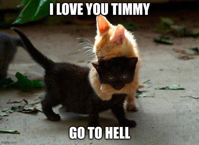 cat not love | I LOVE YOU TIMMY; GO TO HELL | image tagged in kitten hug | made w/ Imgflip meme maker