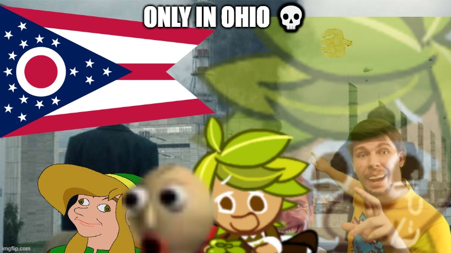 ONLY IN OHIO ? | ONLY IN OHIO 💀 | image tagged in only in ohio,ohio,ohio meme | made w/ Imgflip meme maker