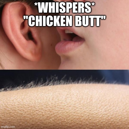 Whisper and Goosebumps | *WHISPERS*
"CHICKEN BUTT" | image tagged in whisper and goosebumps | made w/ Imgflip meme maker