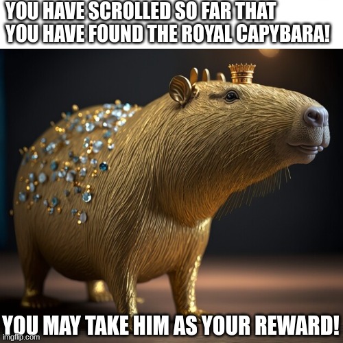 How many people will pull up? lets see | YOU HAVE SCROLLED SO FAR THAT YOU HAVE FOUND THE ROYAL CAPYBARA! YOU MAY TAKE HIM AS YOUR REWARD! | image tagged in memes,funny,capybara,royal,bruh,fun | made w/ Imgflip meme maker