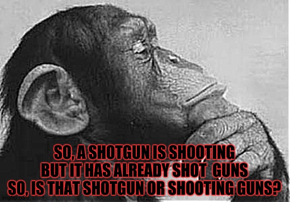 My brain is about to explode :D | SO, A SHOTGUN IS SHOOTING BUT IT HAS ALREADY SHOT  GUNS SO, IS THAT SHOTGUN OR SHOOTING GUNS? | image tagged in monkey rodin thinker | made w/ Imgflip meme maker
