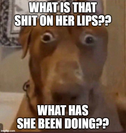 Surprised Dog | WHAT IS THAT SHIT ON HER LIPS?? WHAT HAS SHE BEEN DOING?? | image tagged in surprised dog | made w/ Imgflip meme maker