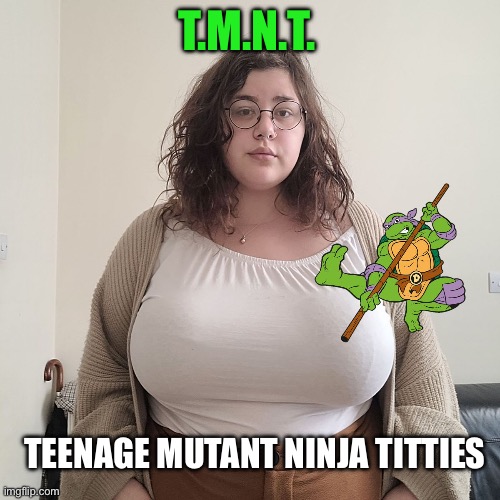 TMNT | T.M.N.T. TEENAGE MUTANT NINJA TITTIES | image tagged in big boobs,bbw,tmnt | made w/ Imgflip meme maker