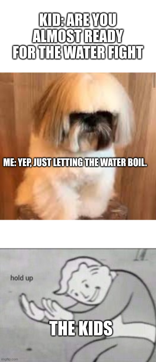 KID: ARE YOU ALMOST READY FOR THE WATER FIGHT; ME: YEP, JUST LETTING THE WATER BOIL. THE KIDS | image tagged in goofy ahh dog hair,fallout hold up | made w/ Imgflip meme maker