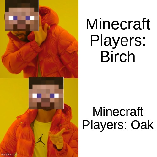 Drake Hotline Bling Meme | Minecraft Players: Birch; Minecraft Players: Oak | image tagged in memes,drake hotline bling | made w/ Imgflip meme maker