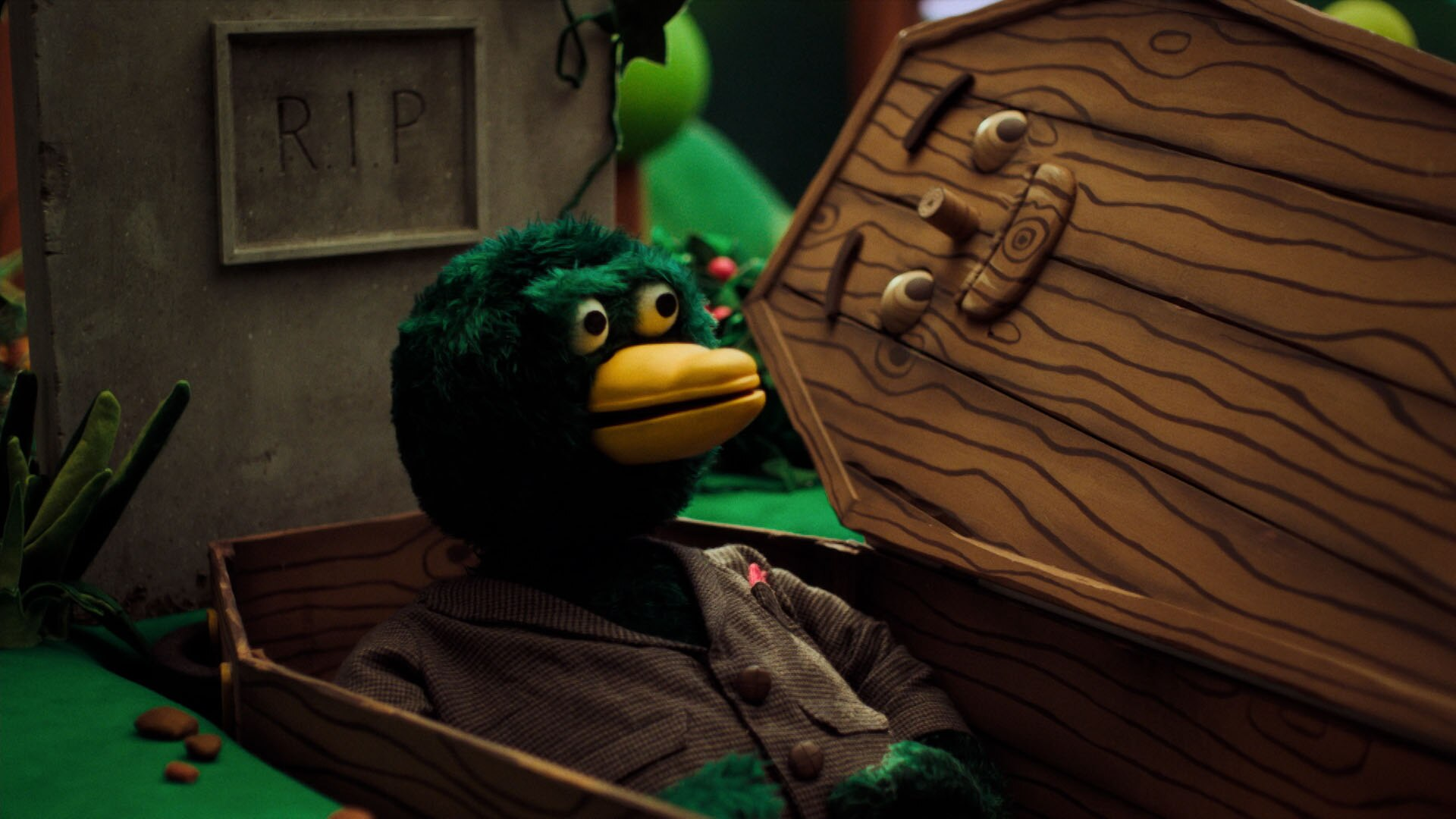 High Quality Duck in a coffin Blank Meme Template