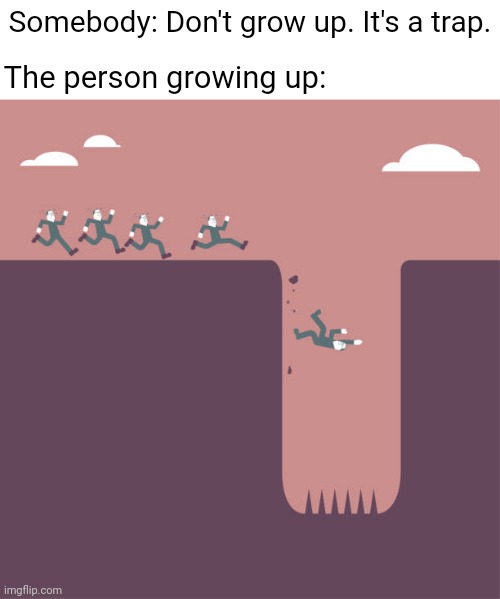 *grows up tho* | Somebody: Don't grow up. It's a trap. The person growing up: | image tagged in it's a trap,dark humor,trap,memes,grow up,traps | made w/ Imgflip meme maker