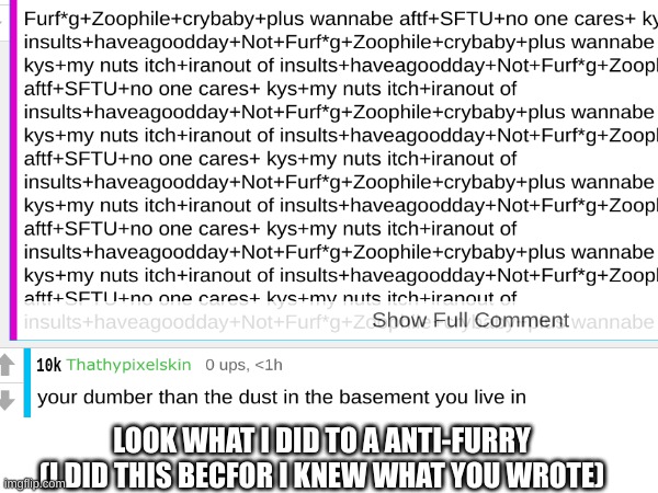 LOOK WHAT I DID TO A ANTI-FURRY (I DID THIS BECFOR I KNEW WHAT YOU WROTE) | made w/ Imgflip meme maker