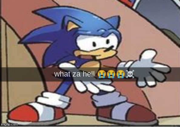og meme | what za hell 😭😭😭☠ | image tagged in sonic why | made w/ Imgflip meme maker