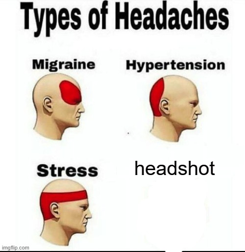 Types of Headaches meme | headshot | image tagged in types of headaches meme | made w/ Imgflip meme maker