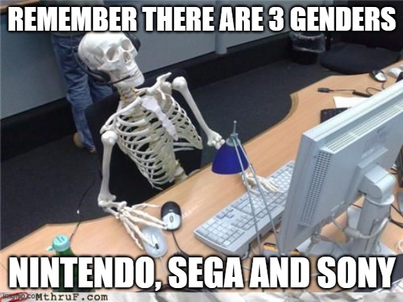 the 3 genders | REMEMBER THERE ARE 3 GENDERS; NINTENDO, SEGA AND SONY | image tagged in skeleton computer | made w/ Imgflip meme maker